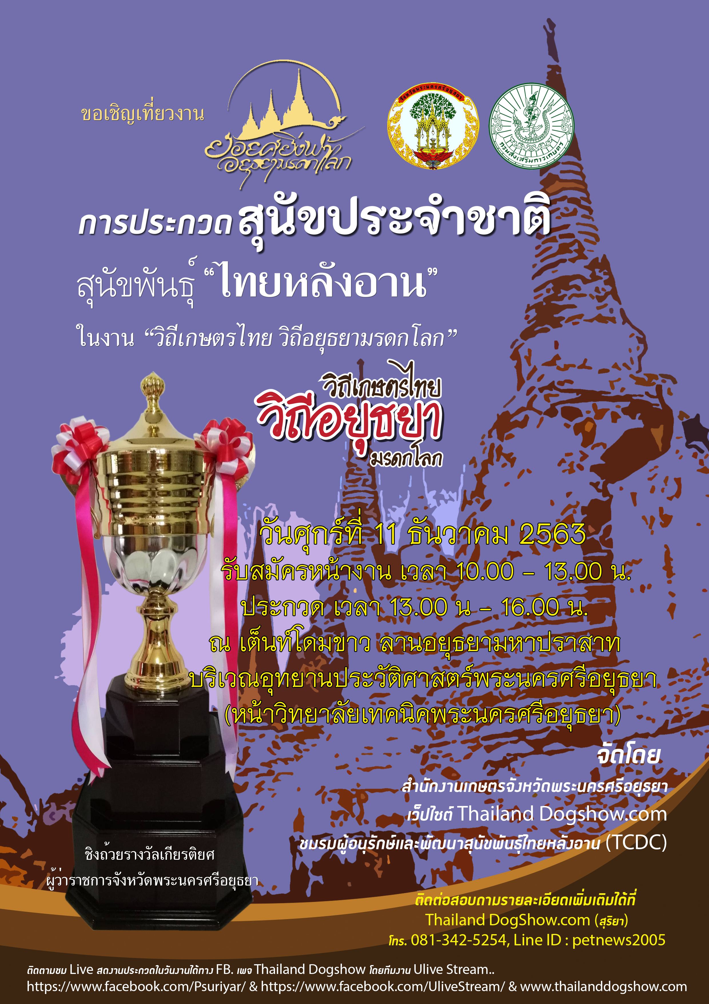 สุนัขพันธุ์ไทยหลังอาน การประกวดสุนัขประจำชาติ สุนัขพันธุ์ไทยหลังอาน